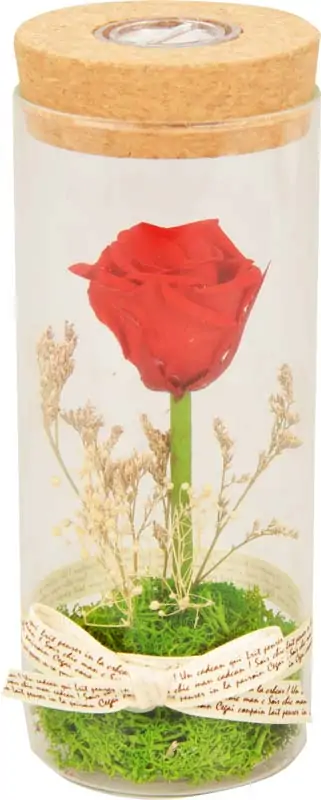 Vrtnica rdeča s cvetjem preparirana v steklu, LED 7x7x17cm