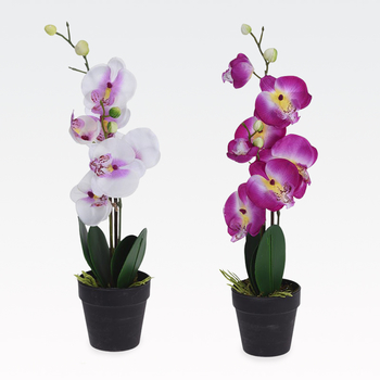 Orhideja v lončku, PVC, 20x10x47cm