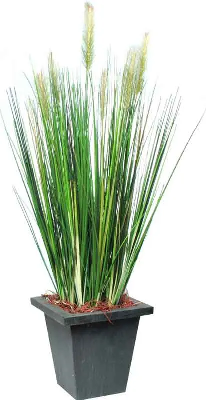 Dekorativna trava v lončku, pvc, 61cm