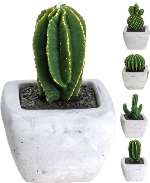 Sveča v obliki kaktusa v lončku, 10cm