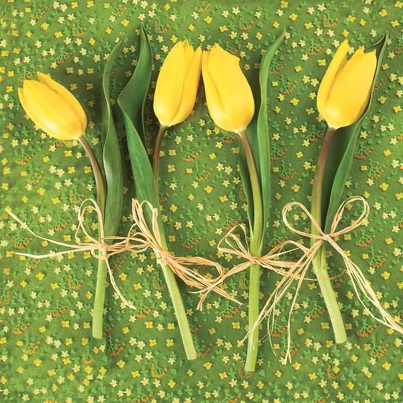 Papirnate serviete zelene, tulipani, 33x33cm, 20kom