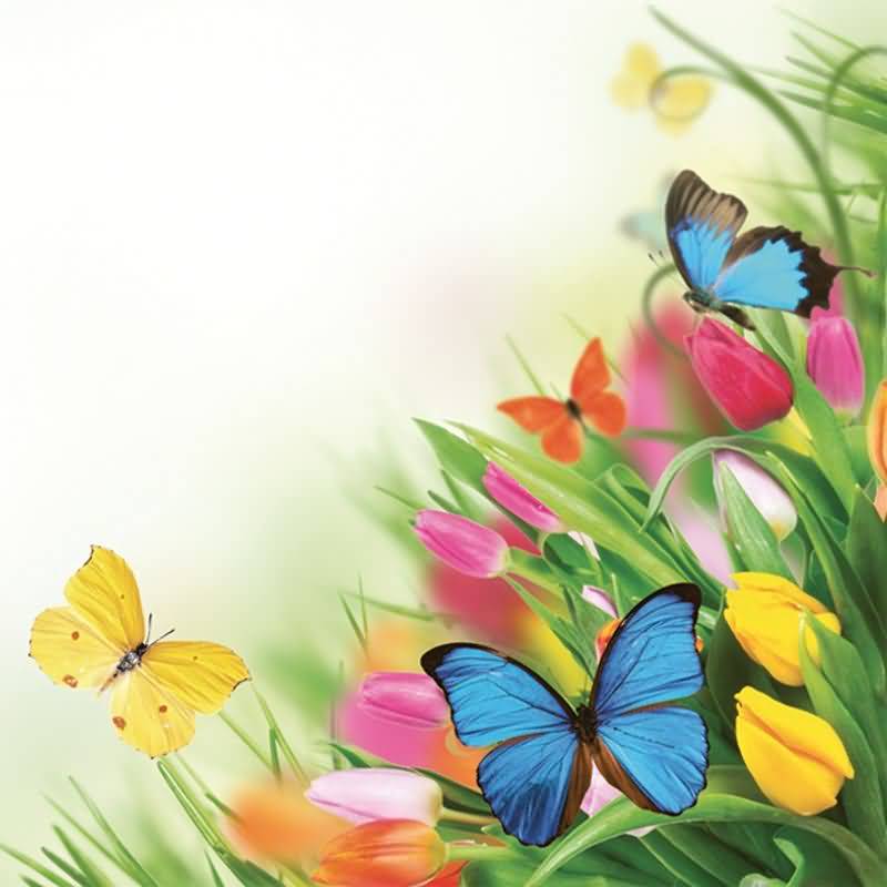 Papirnate serviete, tulipani z metulji, 33x33cm, 20kom