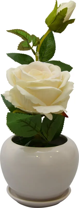 Vrtnica krem v cvetličnem lončku kartonska embalaža 29,5cm