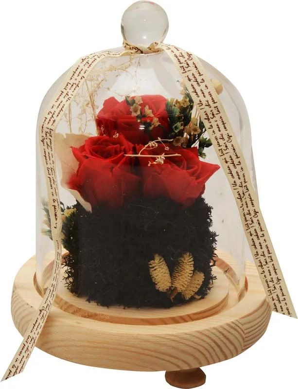 Šopek vrtnic rdeč, prepariran, v steklenem valju, 15x15x18cm