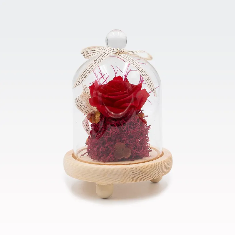 Vrtnica preparirana v steklu, rdeča, 11x16cm