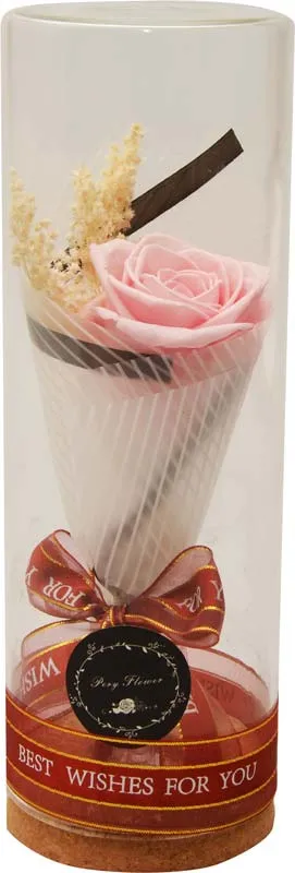 Vrtnica roza preparirana v dekorativni PVC embalaži z LED 9x9x24cm