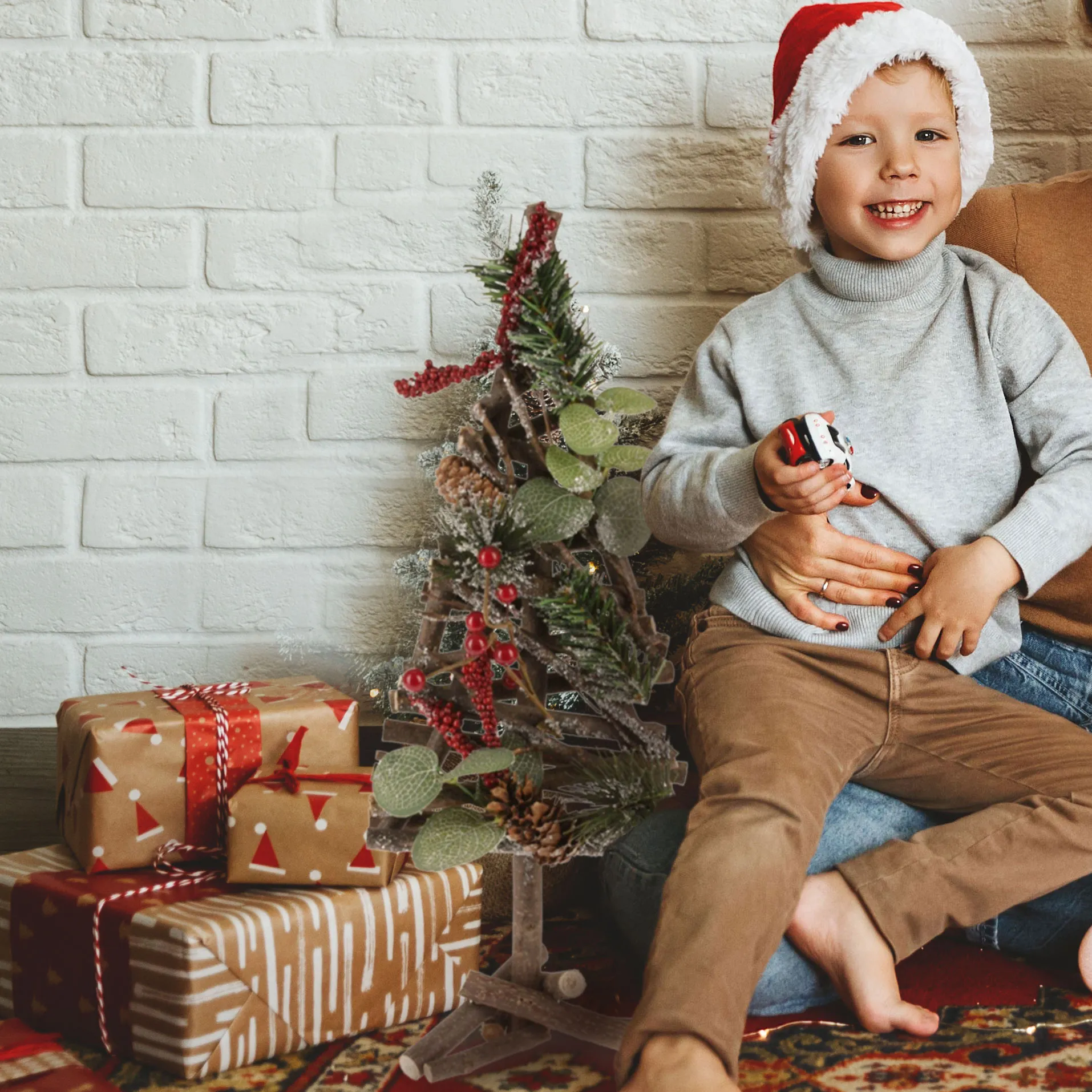 Božična smreka, z rdečimi plodovi, 40cm