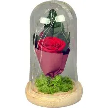 Vrtnica v steklenem valju, z LED lučko, 4x5.5cm