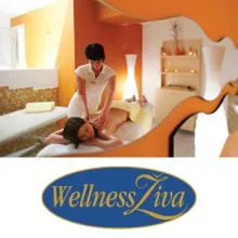Medena masaža za 1 osebo, Wellness Živa, Hotel Golf Bled (Vrednostni bon, izvajalec storitev: Hoteli Bled)