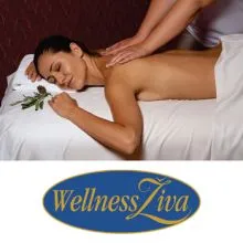 Klasična masaža z olji gorskih zelišč za 1 osebo, Wellness Živa, Rikli Balance hotel Bled (Vrednostni bon, izvajalec storitev: Hoteli Bled)