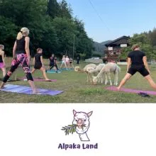 Zvočna terapija in druženje z alpakami za eno osebo, Zavod Alpaka Land, Slovenj Gradec (Vrednostni bon, izvajalec storitev: Zavod Alpaka Land, so.p.)
