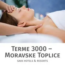 Antistresna masaža glave za 1 osebo, Terme 3000, Moravske Toplice (Vrednostni bon, izvajalec storitev: Terme 3000)