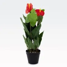Umetno cvetje v lončku, Flamingovec, PVC/blago, 60cm