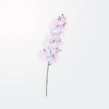 Umetno cvetje, Orhideja, svila/PVC/kovina, 100cm, sort.