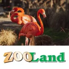 Vstopnica za obisk živalskega vrta za 1 odraslo osebo in 1 otroka, Zoo Land, Slovenske Konjice (Vrednostni bon, izvajalec storitev: MINI ŽIVALSKI VRT D.O.O.)
