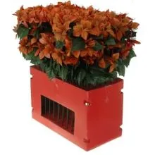 Božična zvezda, oranžna, 66cm