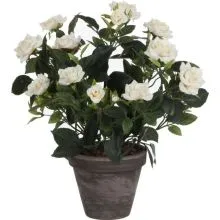 Dekorativna lončnica Vrtnica mnogocvetna, bela, umetno cvetje v lončku, 33cm
