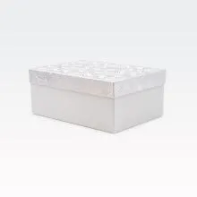 Darilna škatla kartonska, bela, s srebrnimi krogi na pokrovu, 25x18x10.5cm