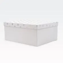 Darilna škatla kartonska, bela, s srebrnimi pikami na pokrovu, 37.5x29x16cm