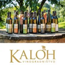 Vinsko kulinarično razvajanje za 2 osebi, Vinogradništvo Kaloh, Maribor (Vrednostni bon, izvajalec storitev: TURISTIČNA KMETIJA Z NASTANITVIJO - TIMOTEJ KALOH)