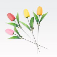 Tulipan na peclju, cvet iz milnih lističev, 4g, s cvetličnim vonjem, sort.