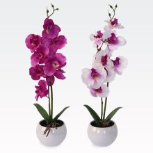 Orhideja dekorativna v lončku, PVC/keramika, 11x39cm, sort.