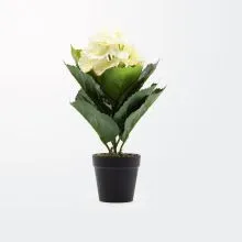 Umetno cvetje v lončku, Hortenzija bela, PVC/blago, 30cm