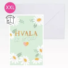 Voščilnica velika, Hvala iz srca, marjetice