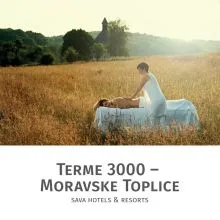 Masaža celega telesa Panonski travnik za 1 osebo, Terme 3000, Moravske Toplice (Vrednostni bon, izvajalec storitev: Terme 3000)