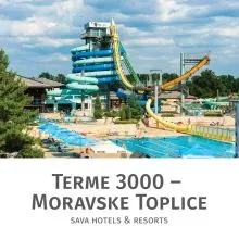 Celodnevno kopanje s kosilom za 1 osebo, Terme 3000, Moravske Toplice (Vrednostni bon, izvajalec storitev: Terme 3000)