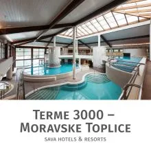 Celodnevno kopanje za 2 osebi, Terme 3000, Moravske Toplice (Vrednostni bon, izvajalec storitev: Terme 3000)