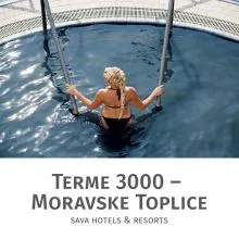 Celodnevno kopanje za 1 osebo, Terme 3000, Moravske Toplice (Vrednostni bon, izvajalec storitev: Terme 3000)