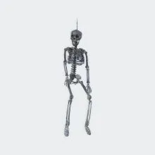 Okostnjak, umetna masa, 59x17.5cm