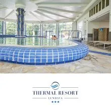 Celodnevno kopanje s kosilom za 1 osebo, Terme Lendava - Thermal Resort, Lendava (Vrednostni bon, izvajalec storitev: TERME LENDAVA d.o.o.)