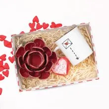 DARILNI PAKET: P.S ljubim te!