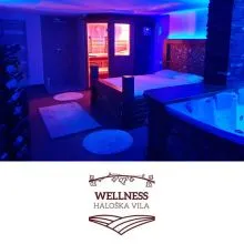 3-urni zasebni zakup Wellnessa v Haloški vili, Wellness Haloška vila, Zavrč (Vrednostni bon, izvajalec storitev: FOR ME, METKA FORŠTNARIČ S.P.)