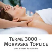 Antistresna masaža glave za 1 osebo, Terme 3000, Moravske Toplice (Vrednostni bon, izvajalec storitev: Terme 3000)