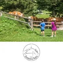 Družinski oddih v dvoje za 2 odrasla in do 3 otroke v koči na Veliki Planini, Koča Stanetova bajta, Velika Planina (Vrednostni bon, izvajalec storitev: ZASTOPNIŠTVO PRI PRODAJI IZDELKOV, MARTIN DUŠAK S.)