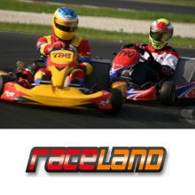 DIRKALNA VOŽNJA Z GO-KARTOM - DVOSEDOM 9 km: 2 x 10 min. za 2 osebi, Karting center Raceland, Krško - Vrbina (Vrednostni bon, izvajalec storitev: Adrenalina d.o.o.)