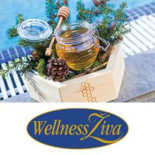 Medena masaža za 1 osebo, Wellness Živa, Rikli Balance hotel Bled (Vrednostni bon, izvajalec storitev: Hoteli Bled)