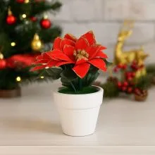 Božična zvezda v lončku, PVC, 14cm