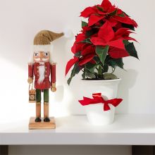 Hrestač lesen s kapo iz jute, 25cm, sort.