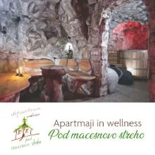 Wellness Potočka Zijalka za 2 osebi, Apartmaji in mini wellness "Pod macesnovo streho", Solčavava (Vrednostni bon, izvajalec storitev: LEGRO-IVAN GOLOB K.D.)