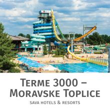 Celodnevno kopanje s kosilom za 1 osebo, Terme 3000, Moravske Toplice
