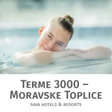 Celodnevno kopanje s kosilom in savno za 1 osebo, Terme 3000, Moravske Toplice
