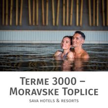 Celodnevno kopanje s kosilom in savno za 2 osebi, Terme 3000, Moravske Toplice