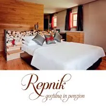 Gurmanska večerja v dvoje z nočitvijo, Gostilna Repnik, Kamnik
