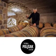 Vinsko kulinarična degustacija s 5 vzorci vin za 2 osebi, Vina Poljšak, Vipava