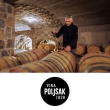 Vinsko kulinarična degustacija s 5 vzorci vin za 2 osebi, Vina Poljšak, Vipava