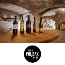 Vinsko kulinarična degustacija s 5 vzorci vin za 2 osebi in darilom, Vina Poljšak, Vipava